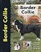 Border Collie (Dog Breed Book)