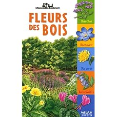 Fleurs des bois