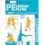 PE Lesson Plans Year 2: Photocopiable Gymnastic Activities, Dance and Games Teaching Programmes (Leapfrogs)