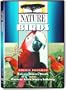 Nature - Birds