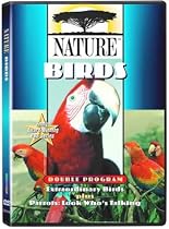 Nature - Birds