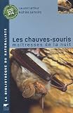 Les chauves-souris : ma�tresses de la nuit