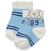 teddy bear socks