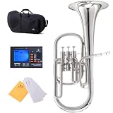Cecilio 2Series AH-280N Eb Alto Horn with Stainless Steel Valves, Nickel