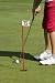 Play Golf - 18