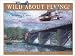Books : Wild About Flying: The Dreamers, Doers and Daredevils