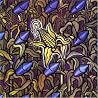 Image de lalbum de {0}
