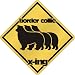 New  Border Collie X-Ing / Xing Iii  Crossing Dog