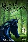 The Black Stallion's Ghost (Black Stallion)