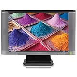 Compaq WF1907 19' LCD Monitor