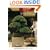 Bonsai: Miniature Potted Trees