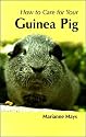 How To Care For Your Guinea Pig