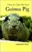 Book Your First Guinea Pig (Your First...series)