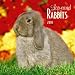 Lop-Eared Rabbits 2010 Square Wall (Multilingual Edition)