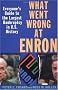 What Went Wrong at Enron: Everyone's Guide to the Largest Bankruptcy in U.S. History: Everyone's Guide to the Largest Bankruptcy in U.S.History