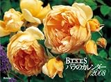 BISES�Х�Υ�������2008
