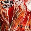 The Bleeding