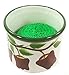 APPLE Scouring/Brillo Pad Holder & Scour Pad ~NEW~