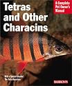 Tetras and Other Characins