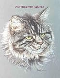 Tabby - Portrait by Cindy Farmer