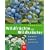 Wildfr�chte und Wildkr�uter. Erkennen, Sammeln, Zubereiten - mit Sammelkalender und Rezepten
