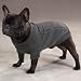 Classic Cable Knit Dog Sweater - Small