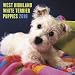 West Highland White Terrier Puppies 2010 Wall