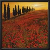51Q5HagHapL. SL160  Poppies Framed Art Poster Print by Steve Thoms, 26x26