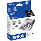Epson Photo Black Ink Cartridge (T054120)