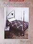 Burgoyne Surrounded Quilt