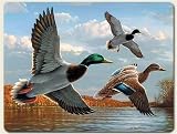 Placemats ~ Ducks - Mallards ~ set of 4 corkboard 11.5 x 15 inch placemats ~ code 559