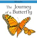 The Journey of a Butterfly (Lifecycles)