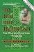 To Kill the Irishman: The War That Crippled the Mafia