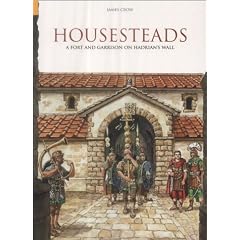 Housesteads: A Fort and Garrison on Hadrian's Wall (Revealing History)