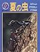 夏の虫―カブトムシ・クワガタムシ・アブラゼミ (なるほどウォッチング)
