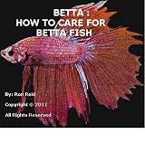 Betta : How To Care For Betta Fish