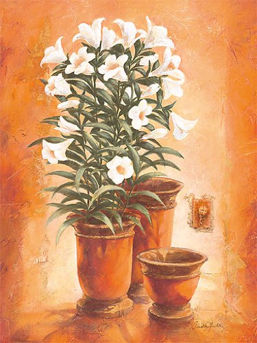 Eurographics CA2119 Claudia Ancilotti, Rosella 40 x 50 cm, Hochwertiger Kunstdruck - Still Preisvergleich