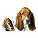 Basset Hound Dog Mouse Pad & Coaster Set