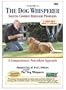 The Dog Whisperer: Vol 2 - Solving Common Behavior Problems