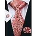 Hi-Tie Mens Stylish Paisley Tie Hanky Cufflinks set
