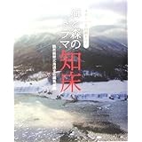 �C�ƐX�̃h���} �m���\�I�z�[�c�N��L���s��