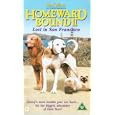 Homeward Bound 2 - Lost In San Francisco [1995]