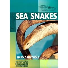 Sea Snakes