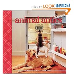 Animal Antics: A Photo  Expose