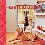 Animal Antics: A Photo  Expose