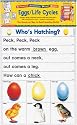 Scholastic Interactive Pocket Charts: Eggs/Life Cycles (Grades PreK-2)