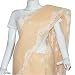 Indian Saree Cotton Chikan Embroidery Peach (chsari118)