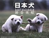2007 カレンダー 日本犬