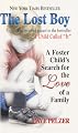 The Lost Boy: A Foster Child's Search For The Love Of A Family (Turtleback School & Library Binding Edition)