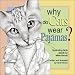Why Do Cats Wear Pajamas?  Fascinating Facts About Our Feline Friends